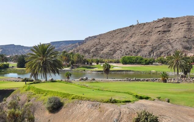 Villa Tauro 2 - Photo 25