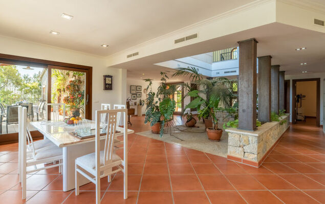 Turixant Dalt - Photo 12