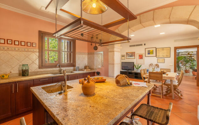 Turixant Dalt - Photo 16