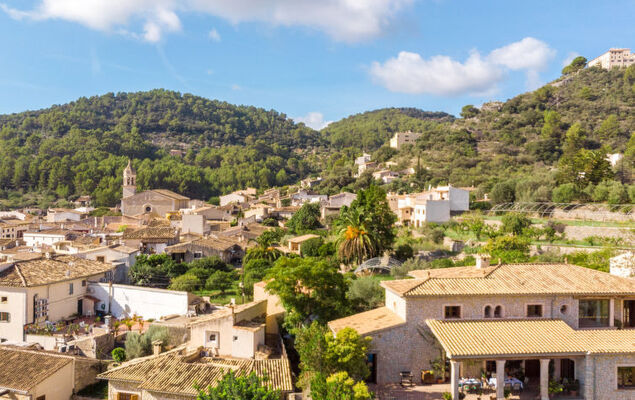 Turixant Dalt - Photo 46